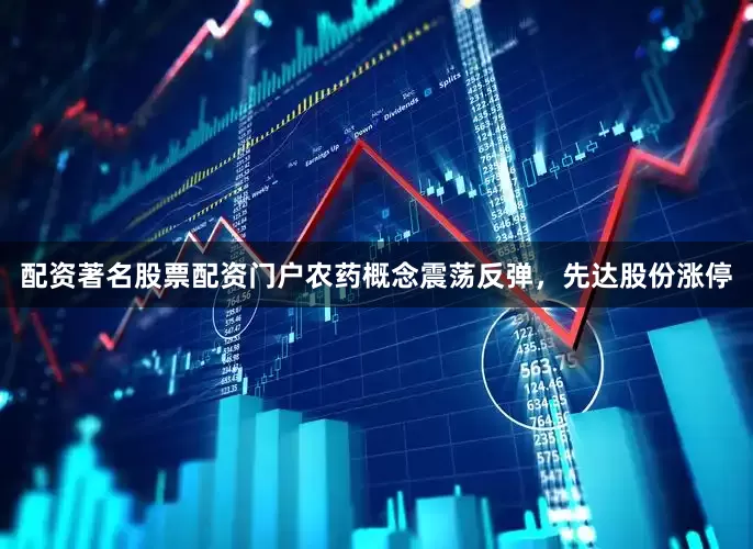 配资著名股票配资门户农药概念震荡反弹，先达股份涨停