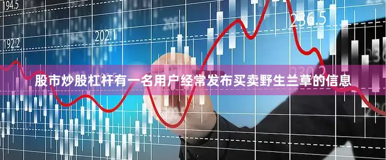 股市炒股杠杆有一名用户经常发布买卖野生兰草的信息