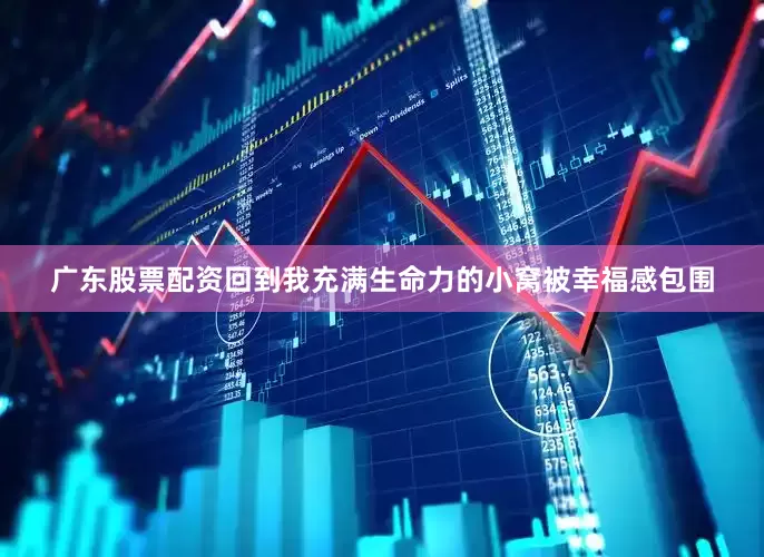 广东股票配资回到我充满生命力的小窝被幸福感包围