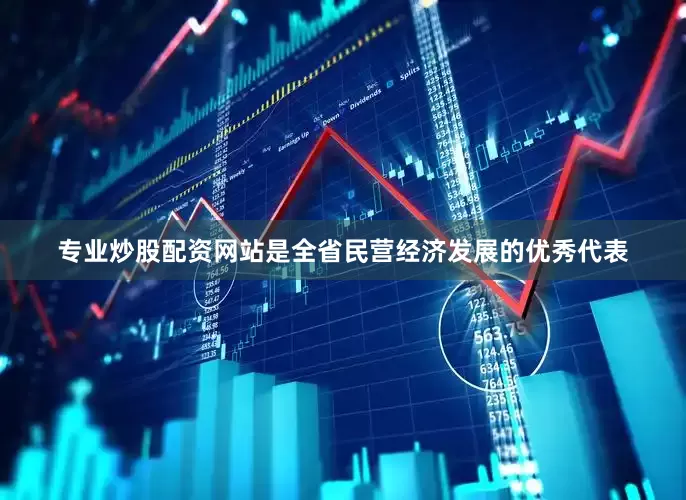 专业炒股配资网站是全省民营经济发展的优秀代表