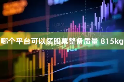 哪个平台可以买股票整备质量 815kg