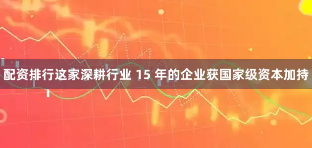 配资排行这家深耕行业 15 年的企业获国家级资本加持