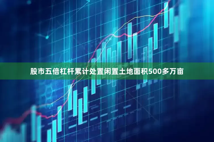 股市五倍杠杆累计处置闲置土地面积500多万亩