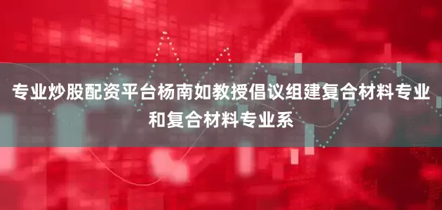 专业炒股配资平台杨南如教授倡议组建复合材料专业和复合材料专业系