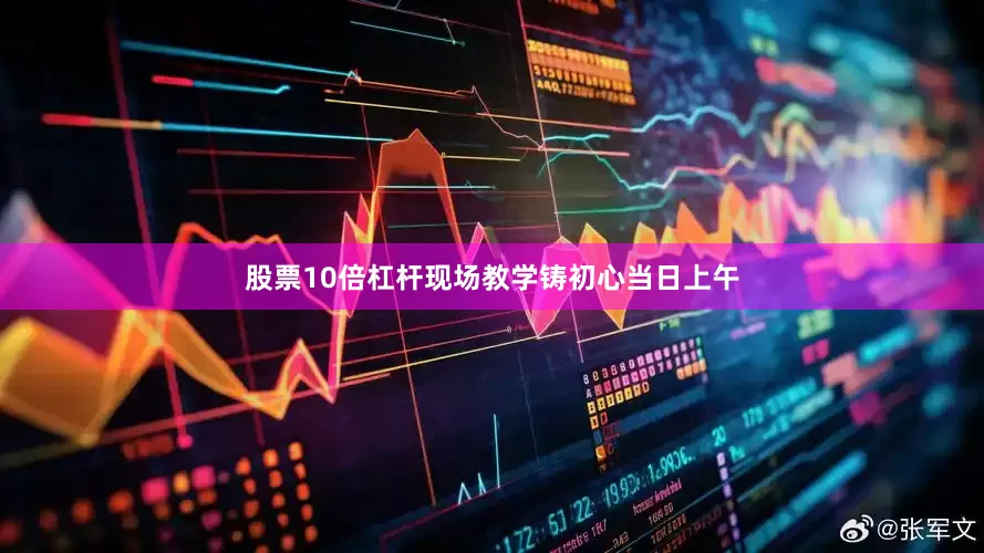 股票10倍杠杆现场教学铸初心当日上午